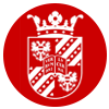 University of Groningen logo